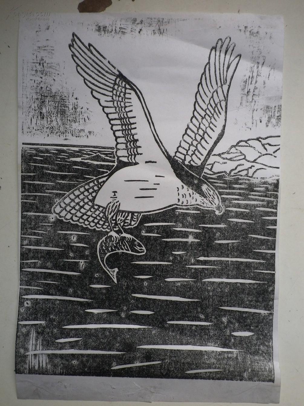 老鹰版画 39x27