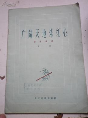 张杰天下笛子的曲谱_天下简谱张杰(2)
