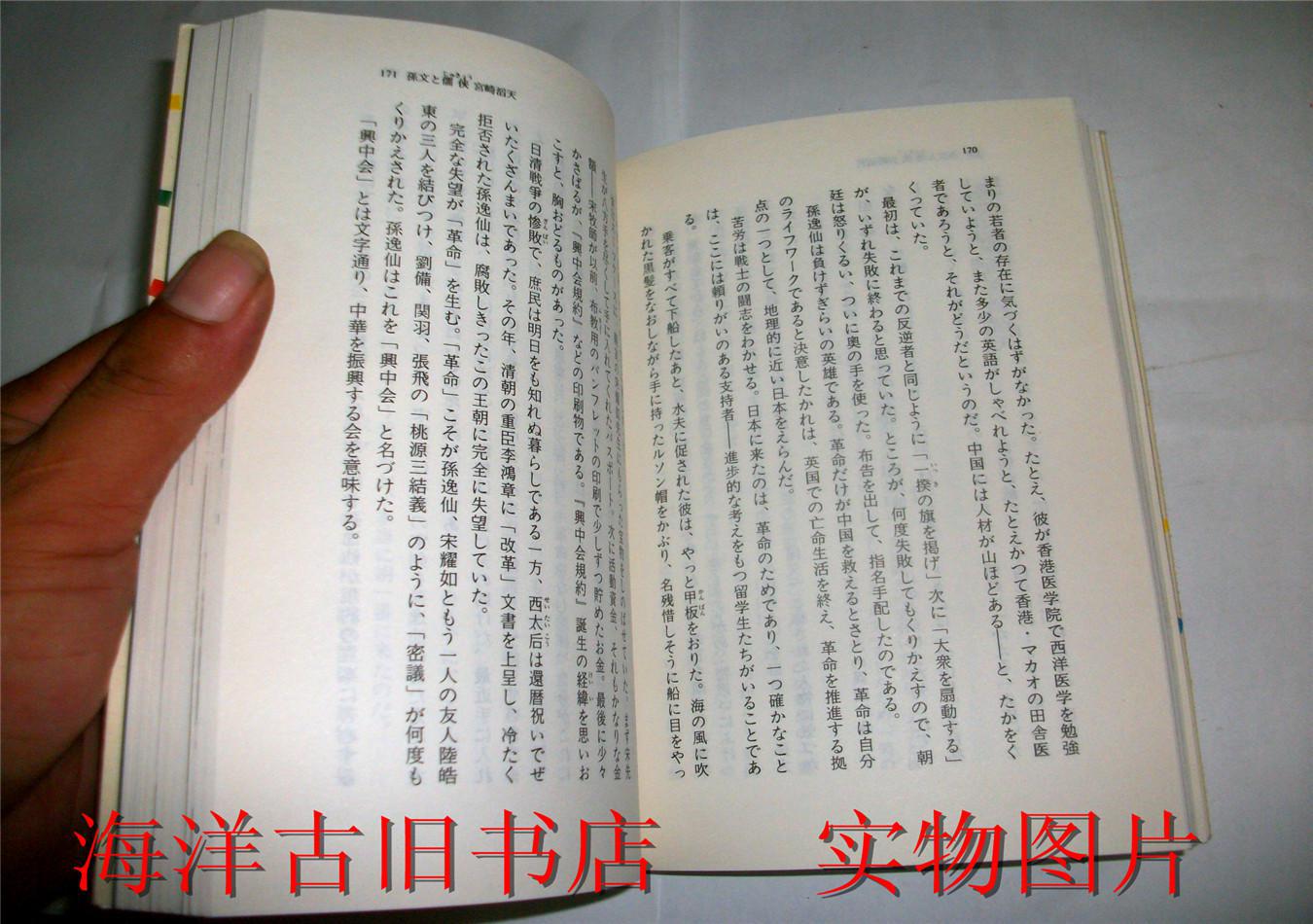 千年の思い (叶文玲 著/大田光华 訳)图片