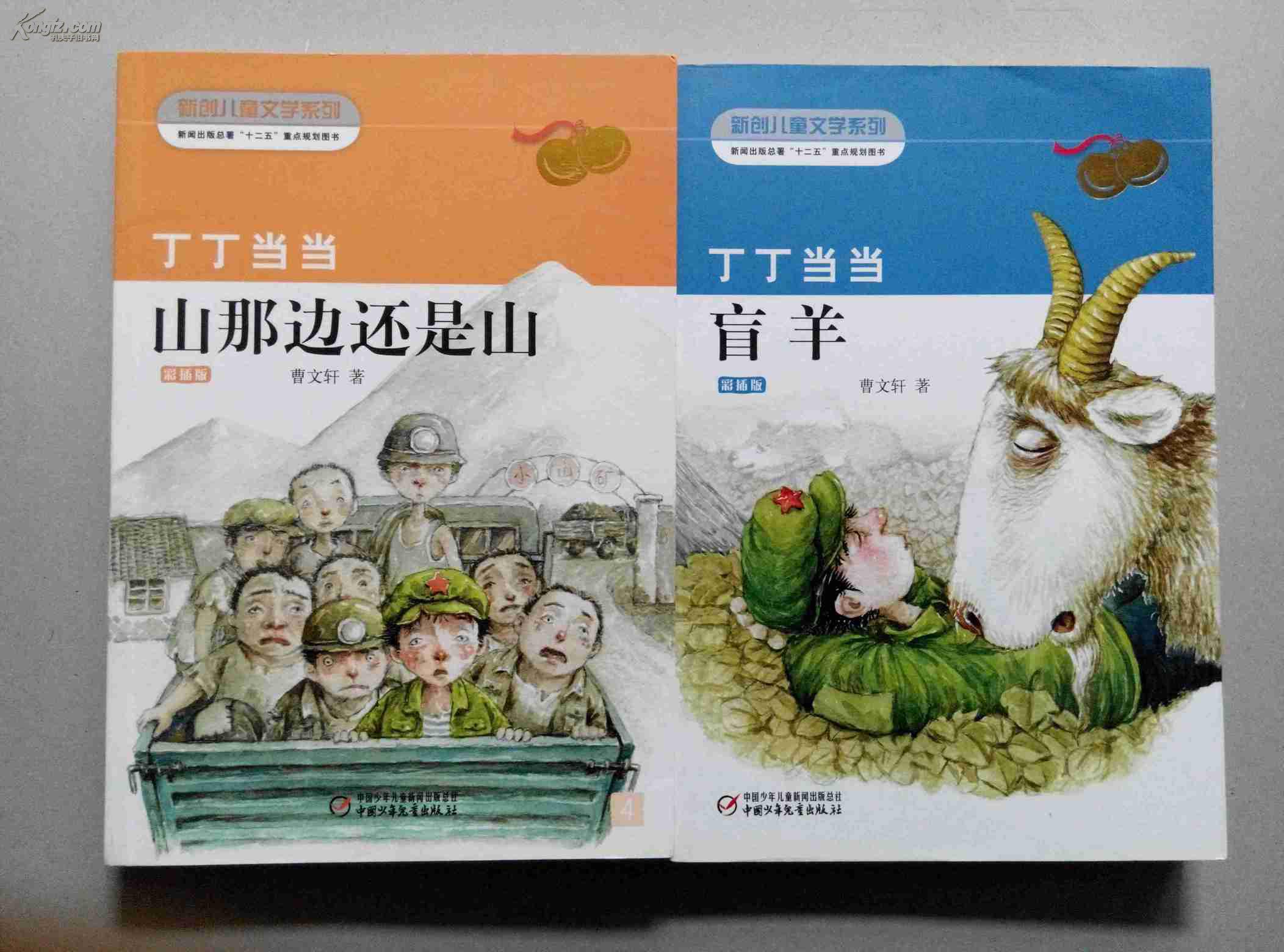 丁丁当当盲羊