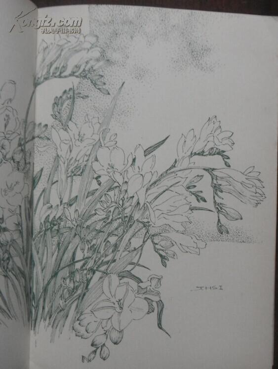 七里香(私藏好品)插图本.