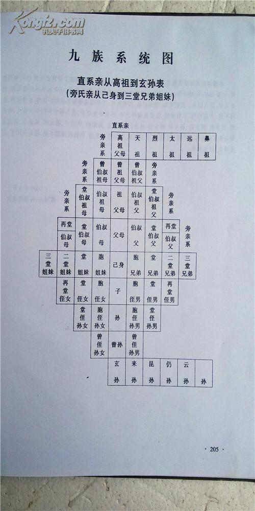 家谱-蒋氏谱书【乐安堂】重庆市梁平县紫照乡支 16开 精装 216页