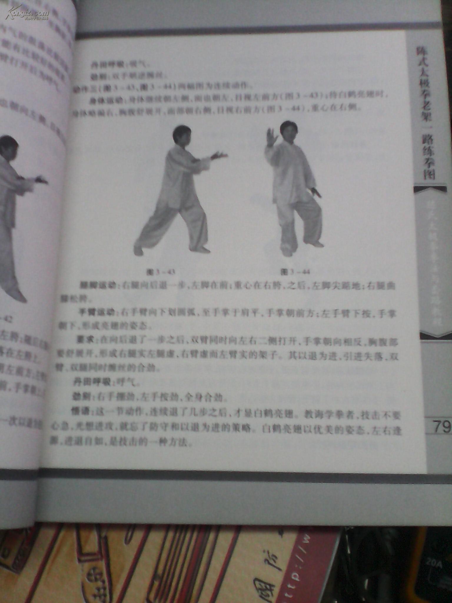 陈氏太极拳 拳法与套路教程 无光盘