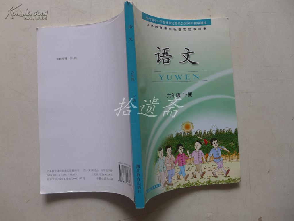 义务教育课程标准实验教科书 语文 六年级 下册