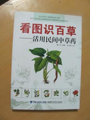 看图识百草 : 活用民间中草药
