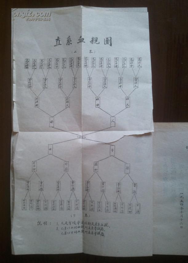好品:婚姻问题参考资料(附罕见五代以内直系及旁系血亲图)