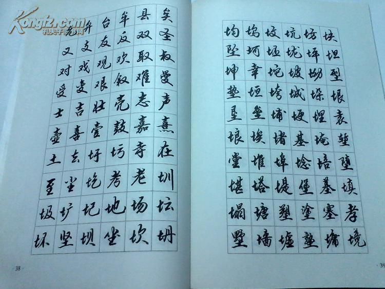 软笔书法行书字帖 王存进编写 软笔书法技法 钢笔字帖【 实物拍摄 详
