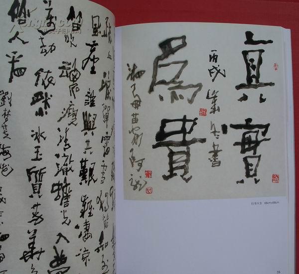 新疆首届著名老书法家十二人书法展览作品集(图9)