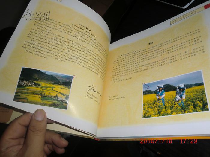 图片 黄色 激情--油画 游记(台湾著名策划人、企