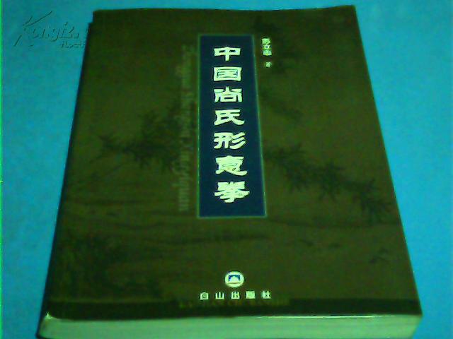 中国尚氏形意拳