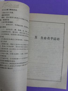 少年锦时简谱原版_少年锦时简谱(3)