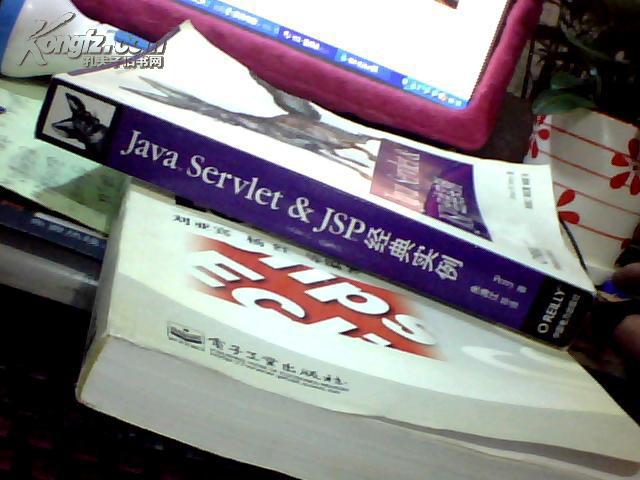 【图】Java TM Servlet & JSP TM经典实例 原