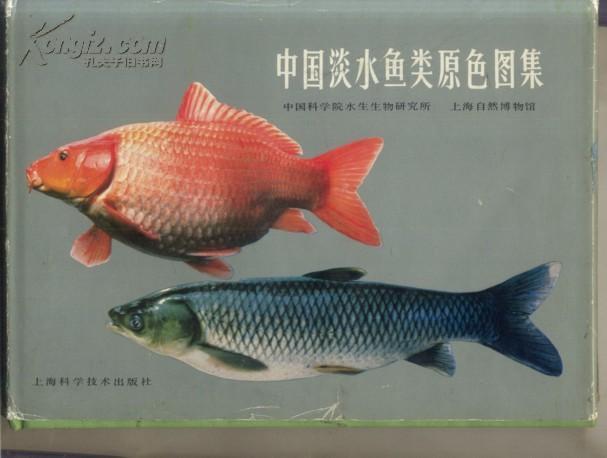 精装 中国淡水鱼类原色图集[第一集]