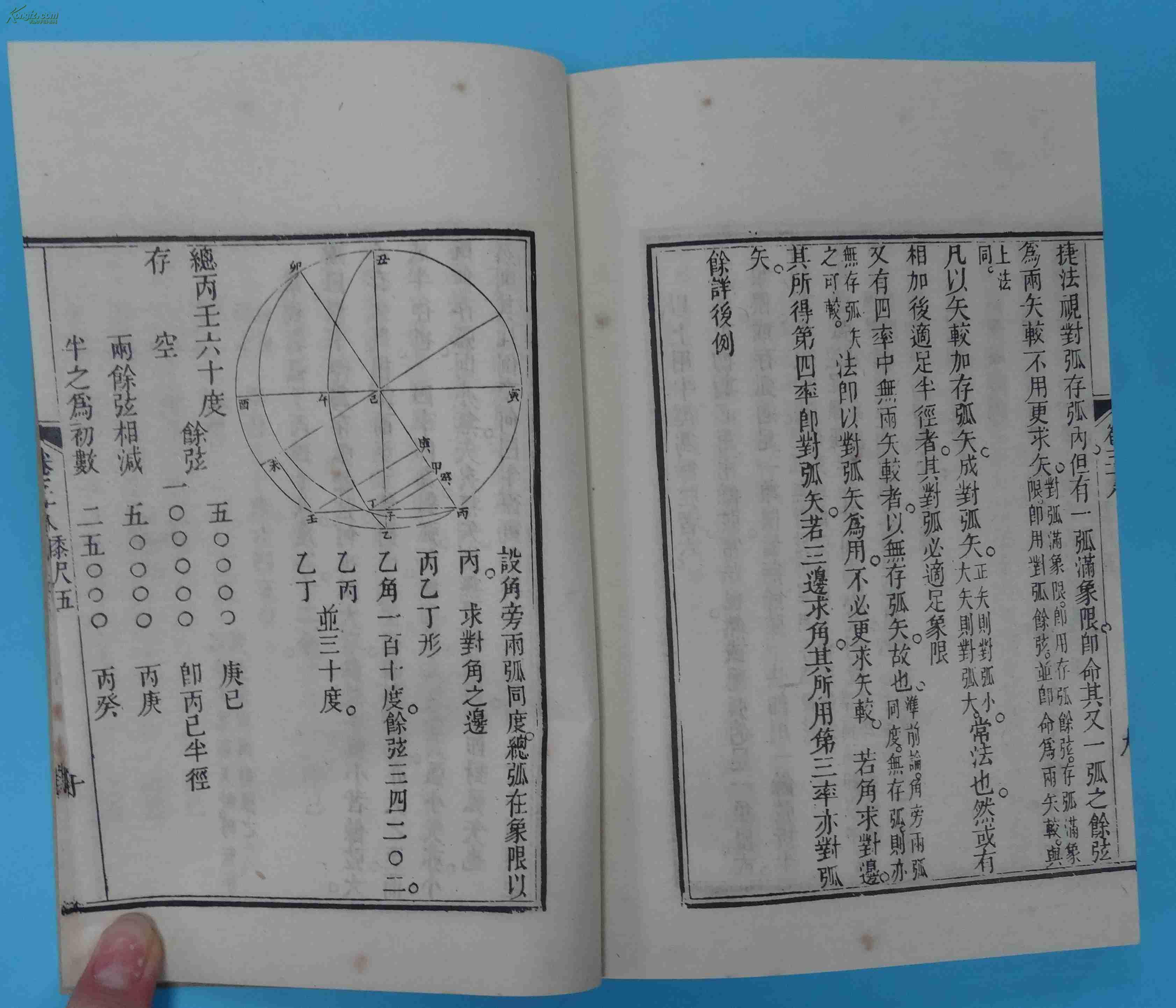 梅氏人口_梅氏利维坦鲸图片(2)