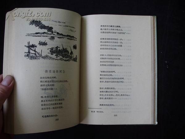 瓦西里.焦尔金