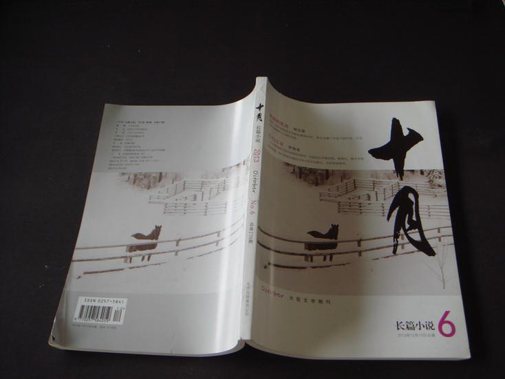 【图】十月杂志.长篇小说(2013年第6期):何大草