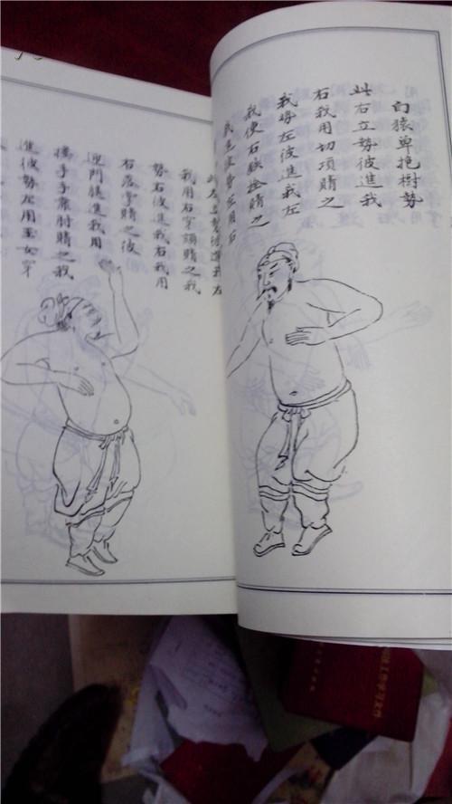 通臂拳谱(周淮颖注)