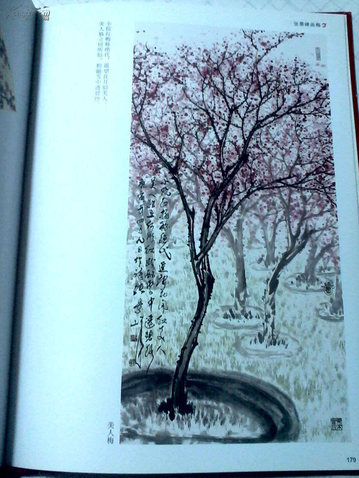 张景峰画梅 张景峰国画梅花 精装16开196页 封面旧 内页整洁无损