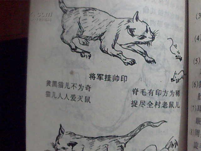 传家宝书--猪狗牛猫相法全集[有癜狗咬伤实验秘方等]民间版.