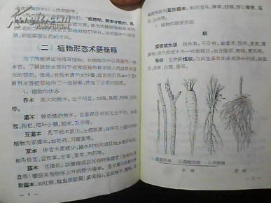 河北中医手册图片
