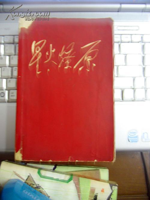 星火燎原 4