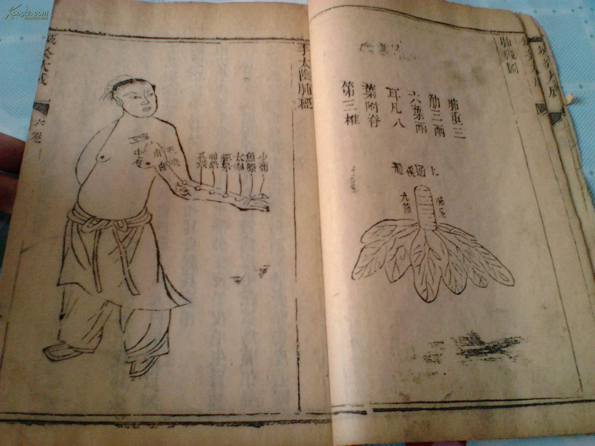 内附铜人明堂全图版画多幅.25*16