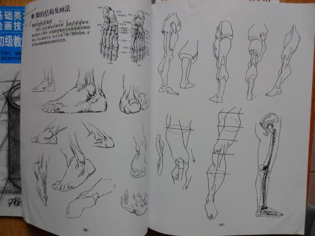 素描男性头像,人物速写,单个静物结构素描(基础美术绘画技法初,中级