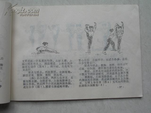 少林拳图解