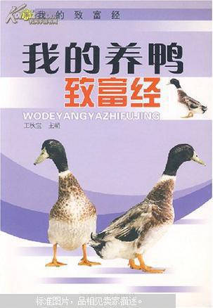 我的养鸭致富经
