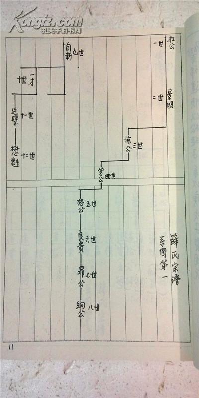 家谱----薛氏家谱[三凤堂]盐城胜公 号烟江 16开 86页