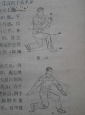 心意六合拳(正版武拳书,卢嵩高弟子著,内容详见描述)