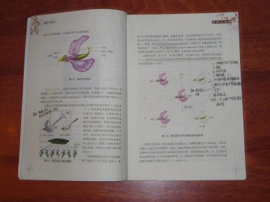 什么是生物学课程标准 o4YBAFRzFgSAH5ojAAK6U976Guc971_n.jpg
