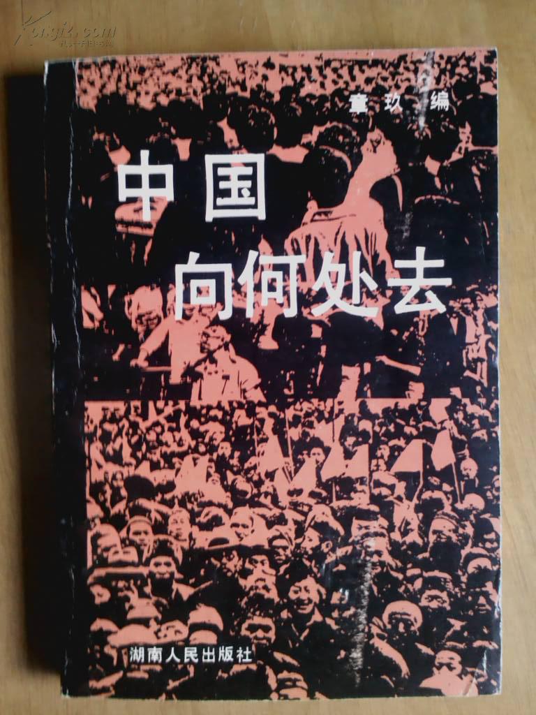 中国向何处去