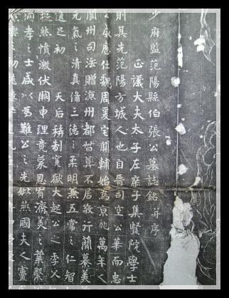 旧拓:张去奢墓志《大唐故少府监范阳县伯张公(去奢)墓志铭并序》