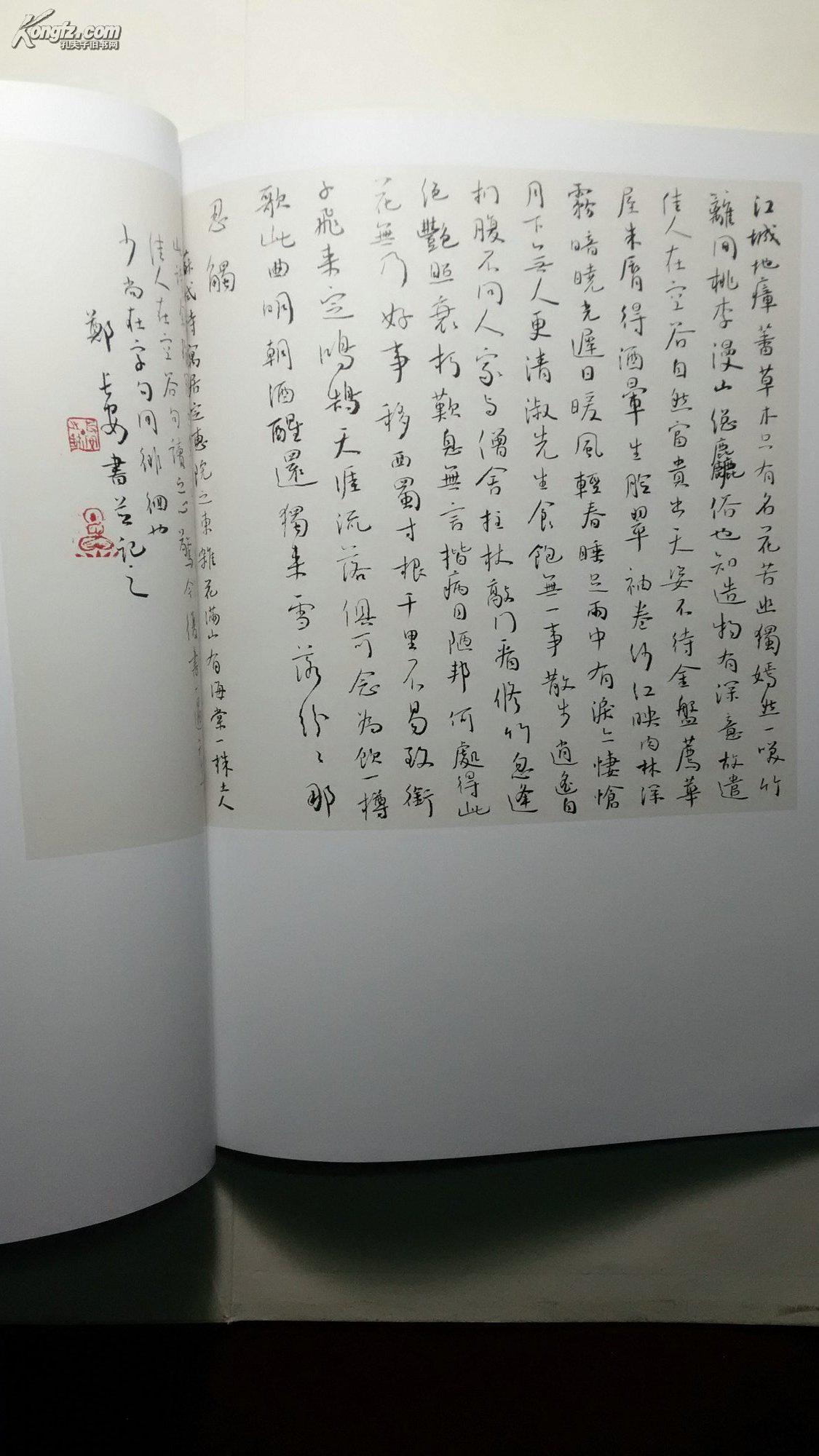 郑长安书法集