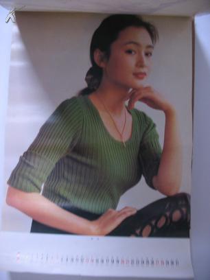 1996年挂历 星光灿烂 耿歌陈红刘蓓茹萍翟颖李媛媛辛颖剧雪池华谅盖