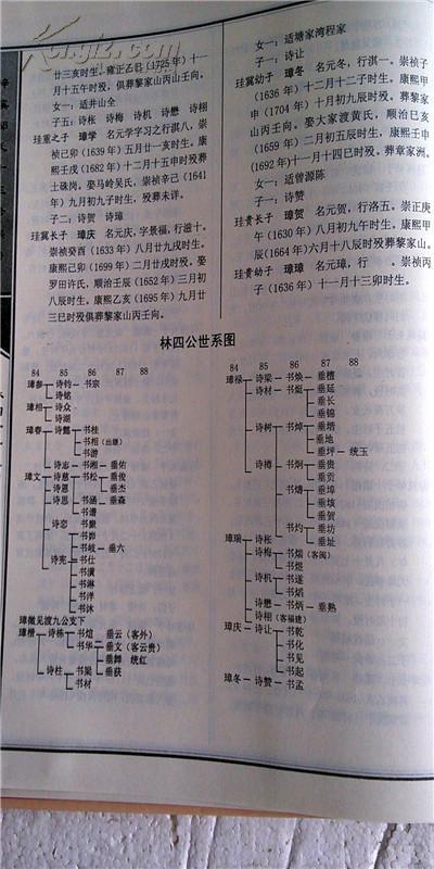 家谱----梓溪邹氏族谱 流谅公 流绍公支 第三卷 大16开 332页 2013年