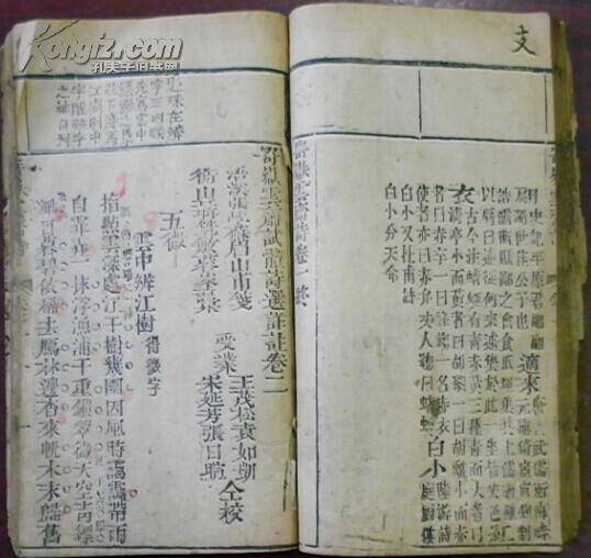 三月桃花雨简谱_三月桃花心中开简谱
