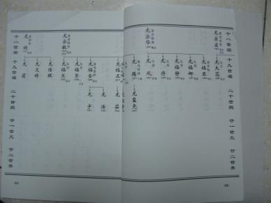 龙氏族谱(卷一至卷七,共7本,有:税郭龙氏赵村支族,临沂岚山区枣沟头镇