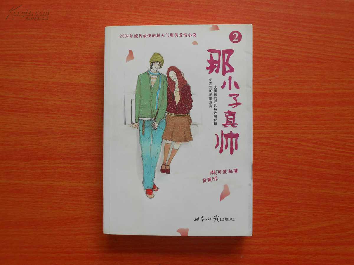 那小子真帅2
