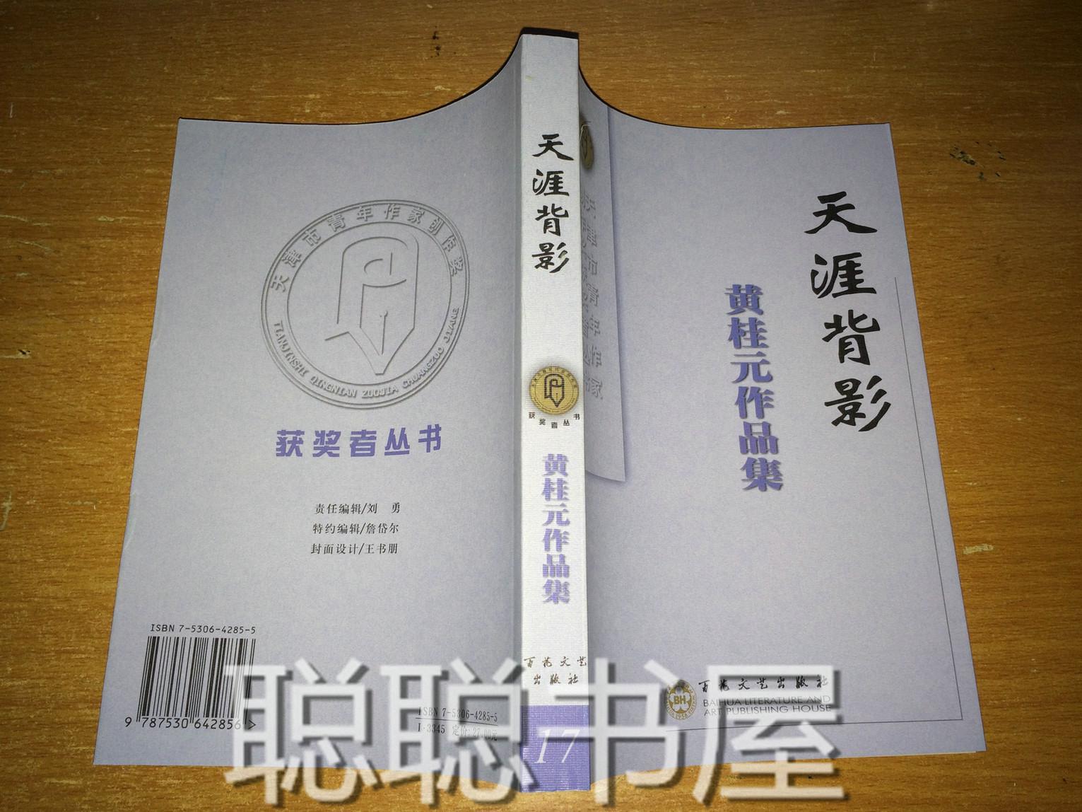 s14 天涯背影·黄桂元作品集(天津市青年作家创作奖获奖者丛书17)