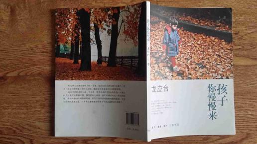 孩子你慢慢来(长长的路 慢慢的走)