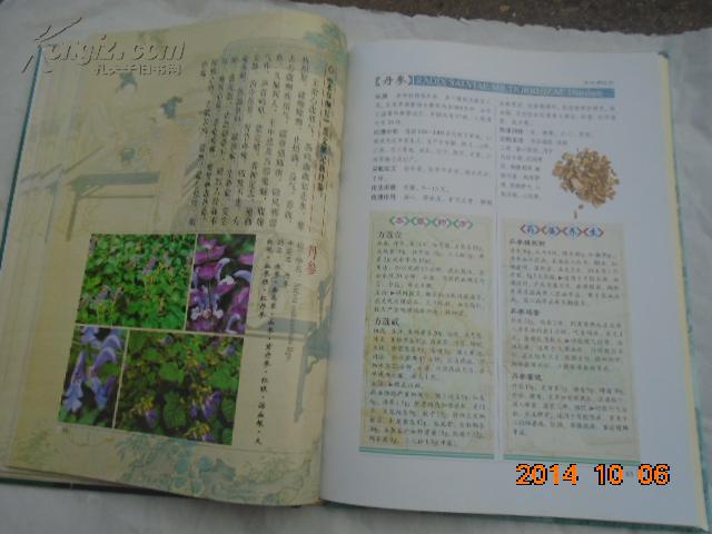 本草纲目简谱_本草纲目图片(3)