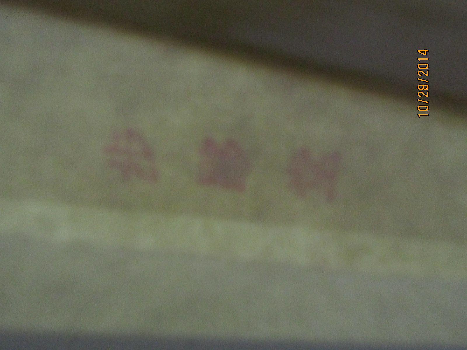 之一王福庵原印钤印折扇一把!保真!扇面红字暗