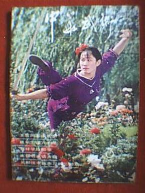 武术表演_购买武术表演相关商品_孔夫子旧书网