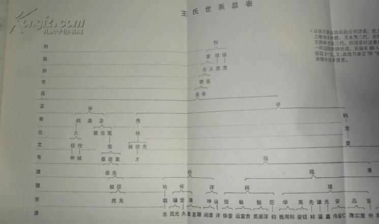 王氏族谱新编 四川省 (封面缺一小角)