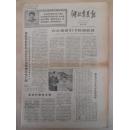 老报纸 1968年11月9日湖北农民报 4版全
