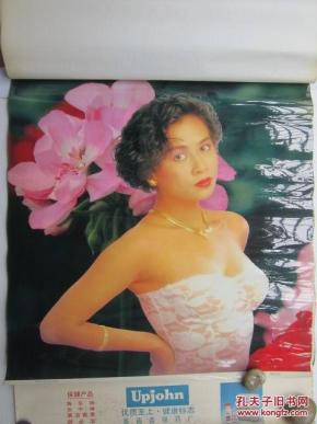 1990年港台美女明星挂历---明星图片是塑料薄膜印刷的
