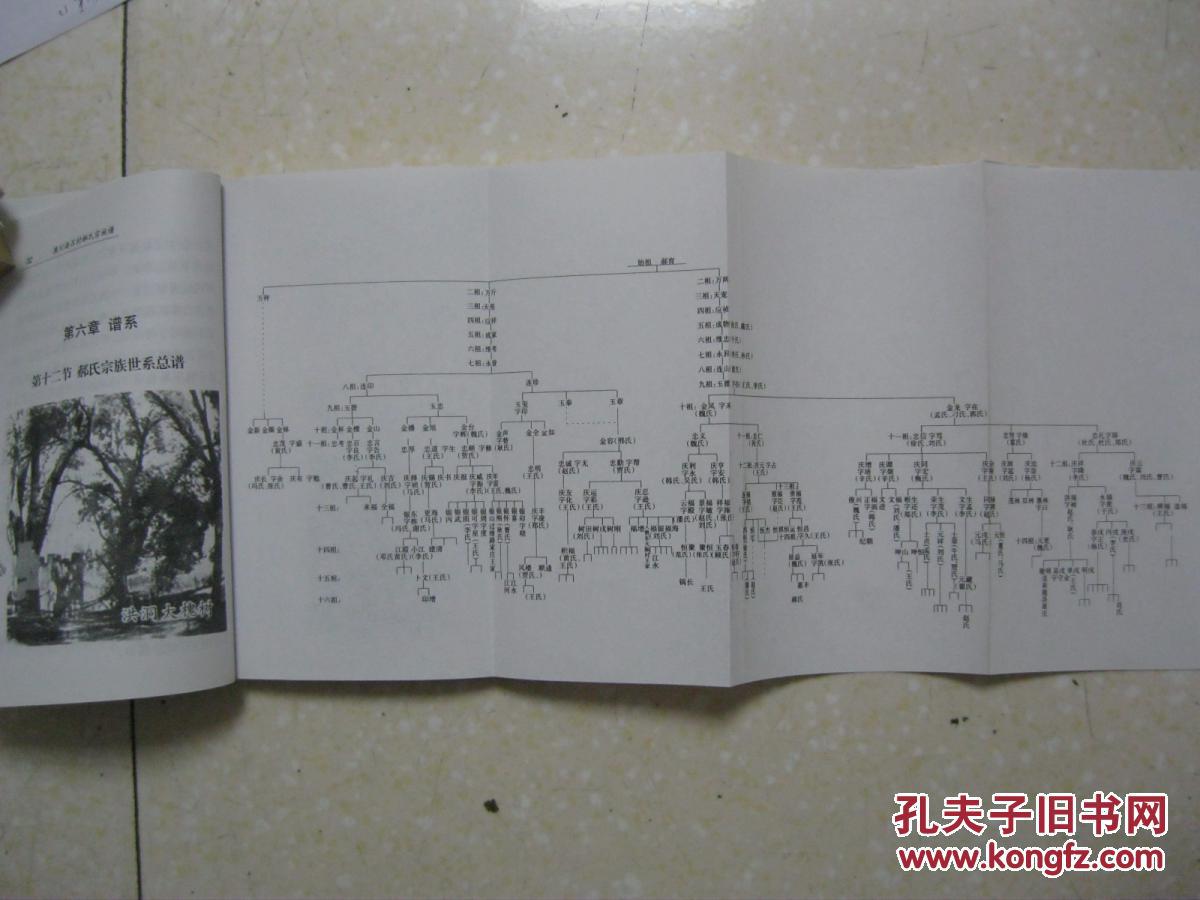 鹿川南吕村郝氏宗族谱郝氏宗谱河北省辛集市原名束鹿县张古庄镇南吕村