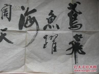 不妄不欺斋之一百零七:牌子忆明珠两文人平尺"鸢飞鱼跃,海阔天空"深圳大书法是黄蜂吗图片